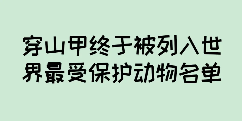 穿山甲终于被列入世界最受保护动物名单