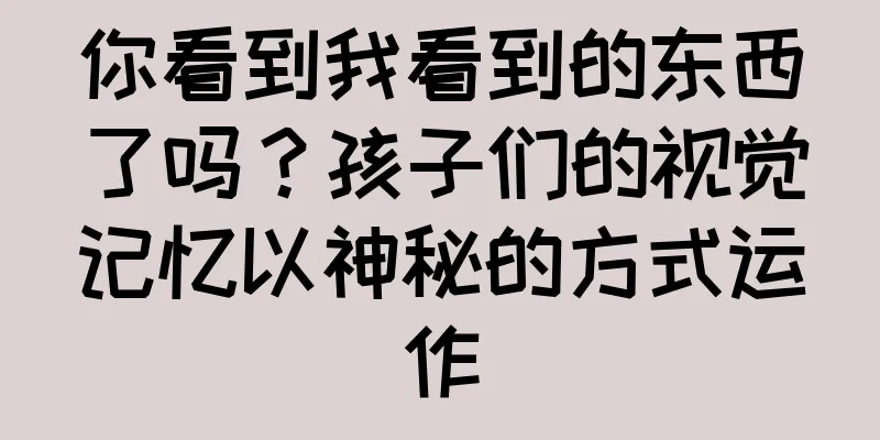 你看到我看到的东西了吗？孩子们的视觉记忆以神秘的方式运作