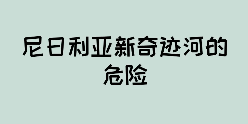 尼日利亚新奇迹河的危险