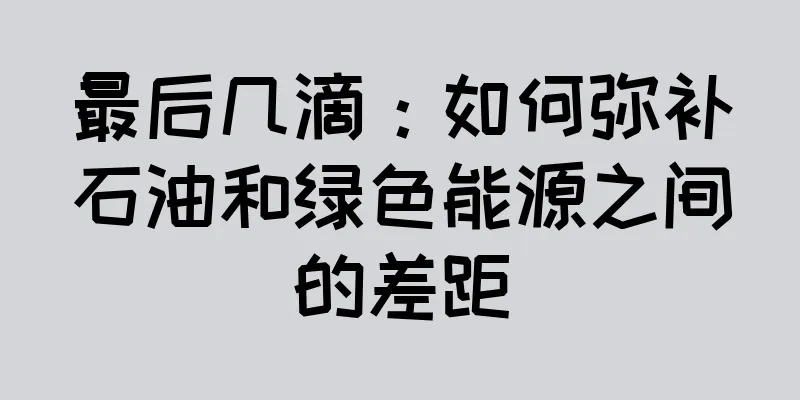 最后几滴：如何弥补石油和绿色能源之间的差距