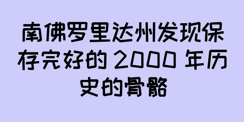 南佛罗里达州发现保存完好的 2000 年历史的骨骼