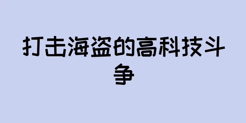 打击海盗的高科技斗争