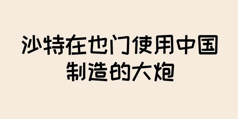 沙特在也门使用中国制造的大炮