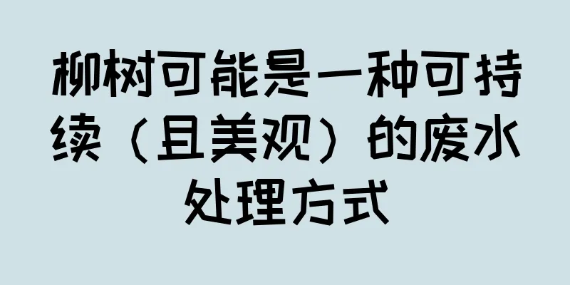 柳树可能是一种可持续（且美观）的废水处理方式