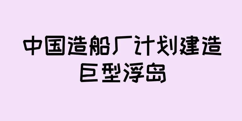 中国造船厂计划建造巨型浮岛