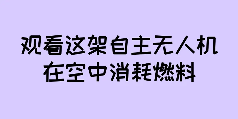 观看这架自主无人机在空中消耗燃料