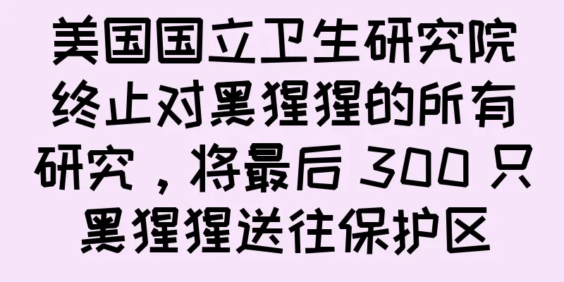 美国国立卫生研究院终止对黑猩猩的所有研究，将最后 300 只黑猩猩送往保护区