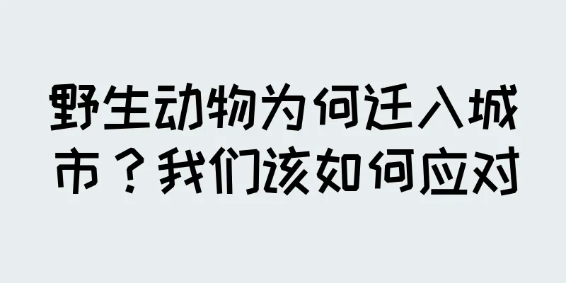 野生动物为何迁入城市？我们该如何应对