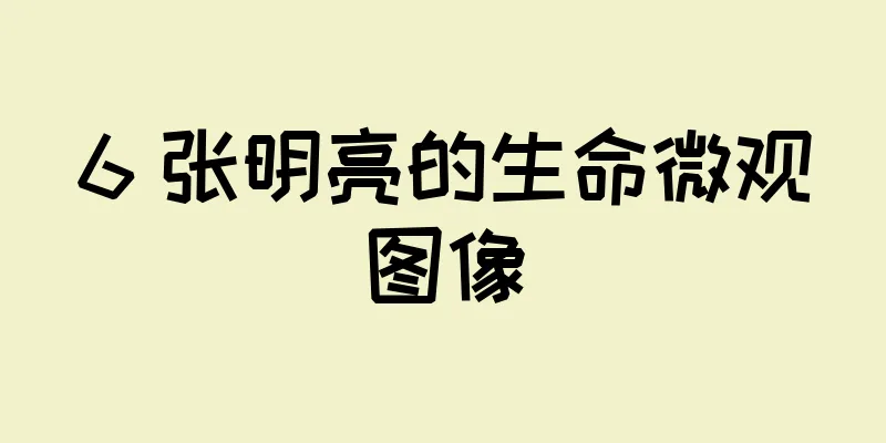 6 张明亮的生命微观图像