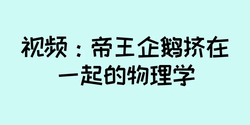 视频：帝王企鹅挤在一起的物理学