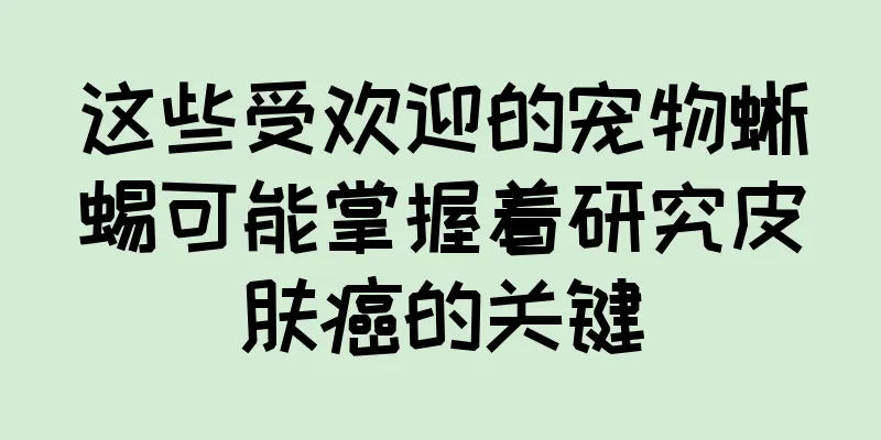 这些受欢迎的宠物蜥蜴可能掌握着研究皮肤癌的关键