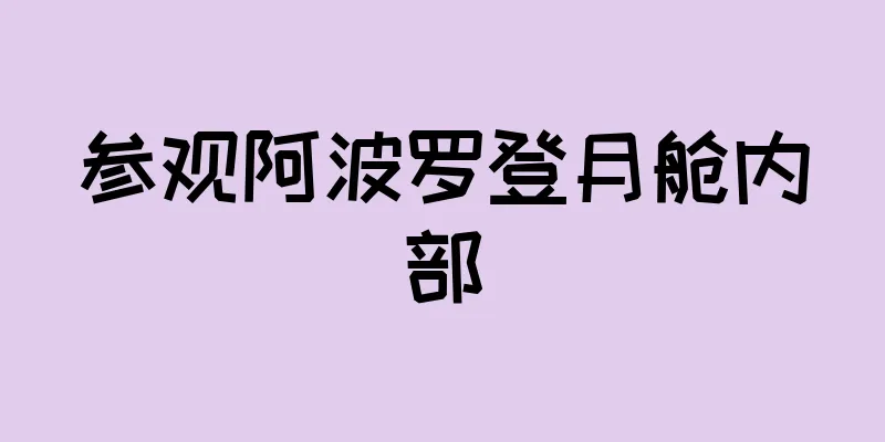 参观阿波罗登月舱内部