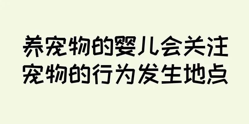 养宠物的婴儿会关注宠物的行为发生地点
