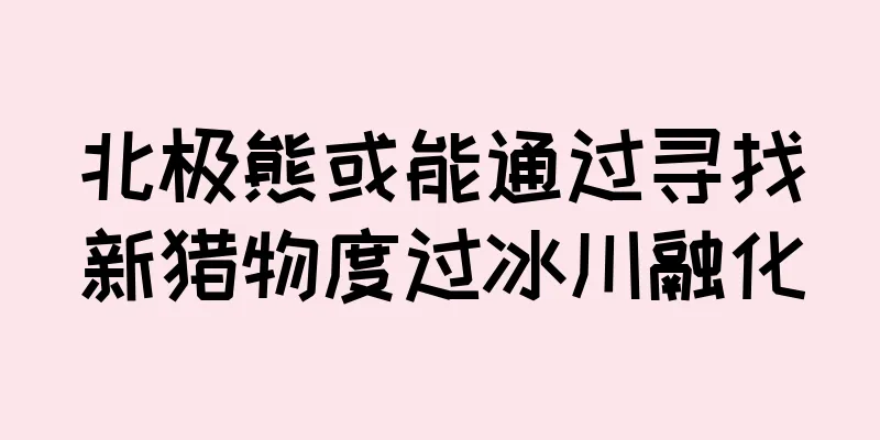 北极熊或能通过寻找新猎物度过冰川融化
