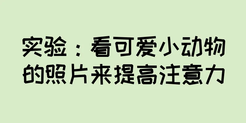 实验：看可爱小动物的照片来提高注意力