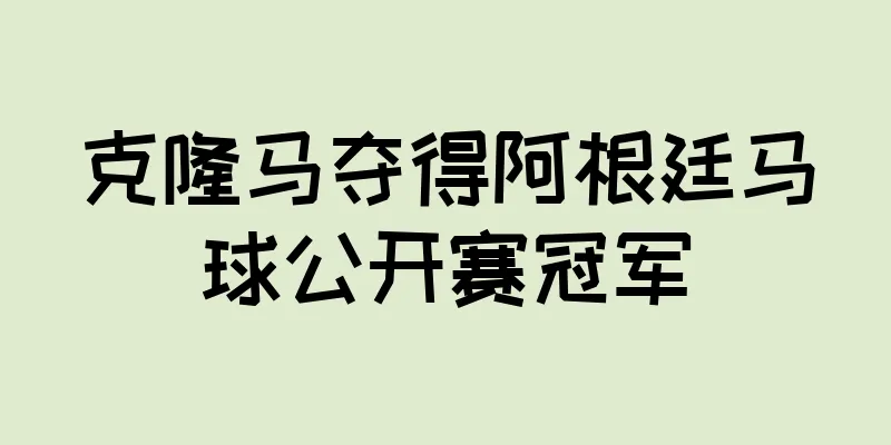 克隆马夺得阿根廷马球公开赛冠军