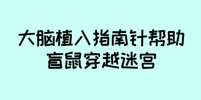 大脑植入指南针帮助盲鼠穿越迷宫