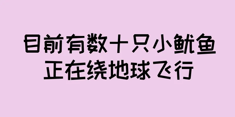 目前有数十只小鱿鱼正在绕地球飞行