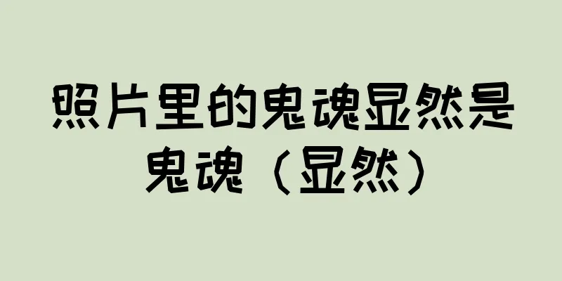 照片里的鬼魂显然是鬼魂（显然）