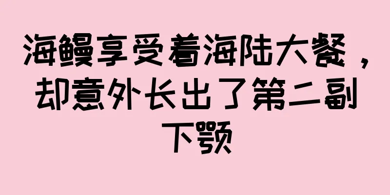 海鳗享受着海陆大餐，却意外长出了第二副下颚
