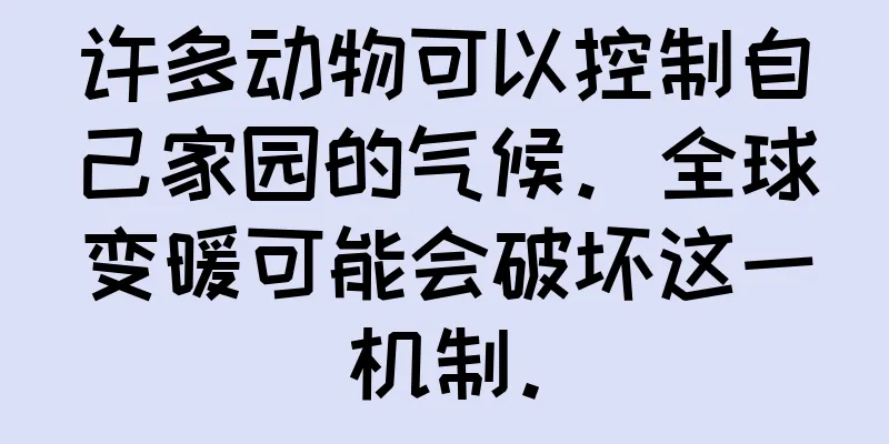 许多动物可以控制自己家园的气候。全球变暖可能会破坏这一机制。