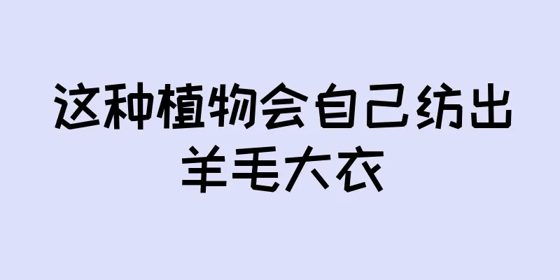这种植物会自己纺出羊毛大衣