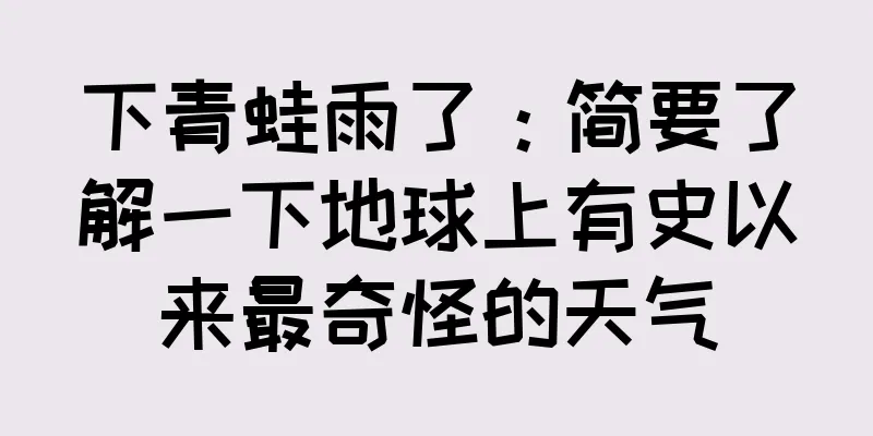 下青蛙雨了：简要了解一下地球上有史以来最奇怪的天气