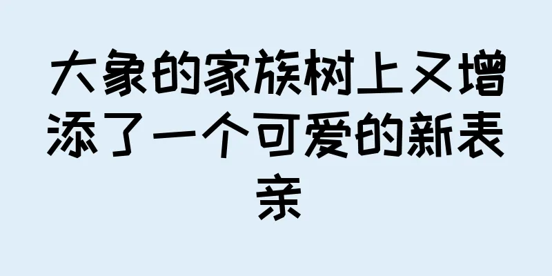 大象的家族树上又增添了一个可爱的新表亲