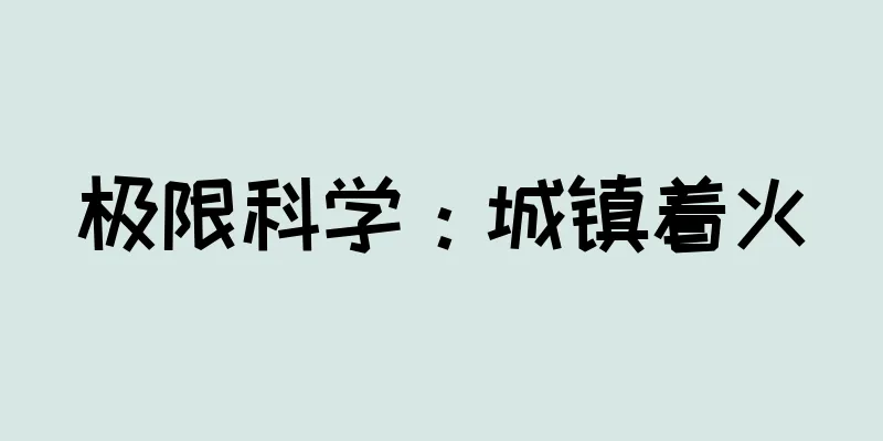 极限科学：城镇着火
