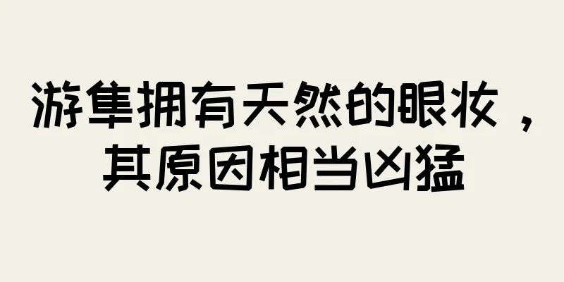 游隼拥有天然的眼妆，其原因相当凶猛