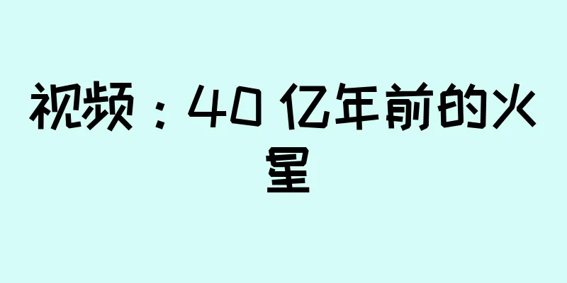 视频：40 亿年前的火星