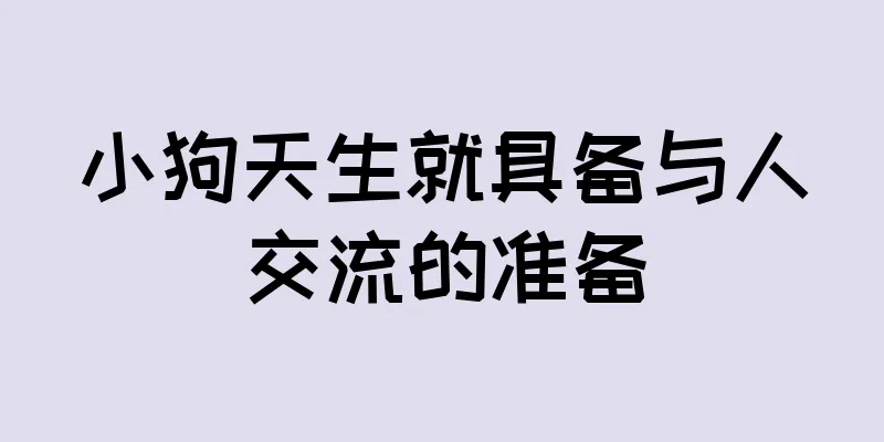 小狗天生就具备与人交流的准备
