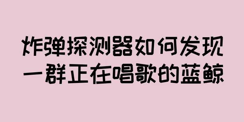 炸弹探测器如何发现一群正在唱歌的蓝鲸