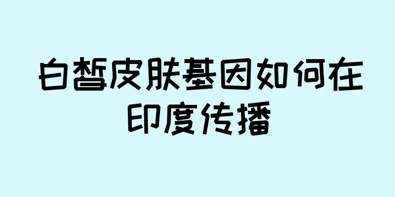 白皙皮肤基因如何在印度传播