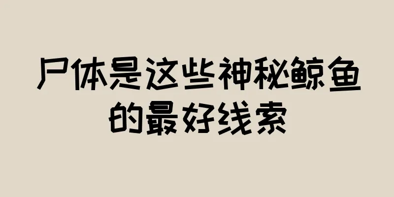 尸体是这些神秘鲸鱼的最好线索