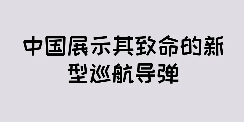 中国展示其致命的新型巡航导弹