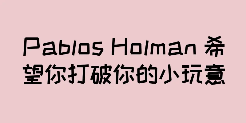 Pablos Holman 希望你打破你的小玩意