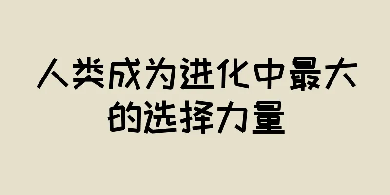 人类成为进化中最大的选择力量