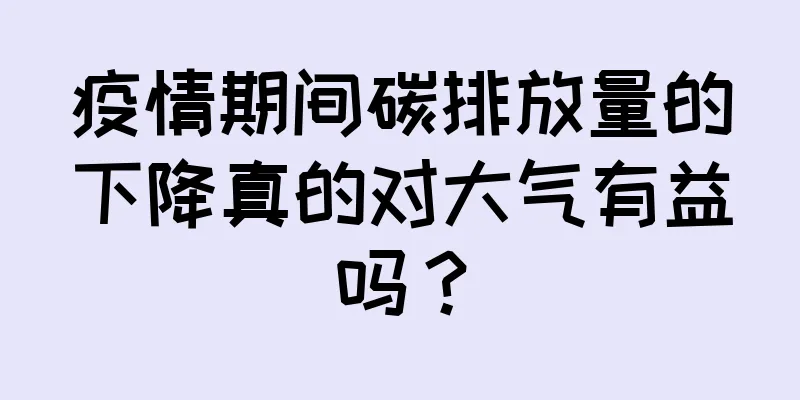 疫情期间碳排放量的下降真的对大气有益吗？
