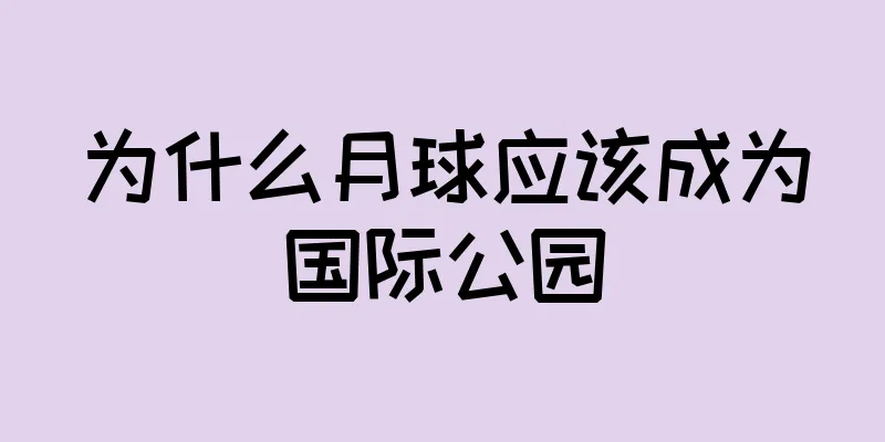 为什么月球应该成为国际公园