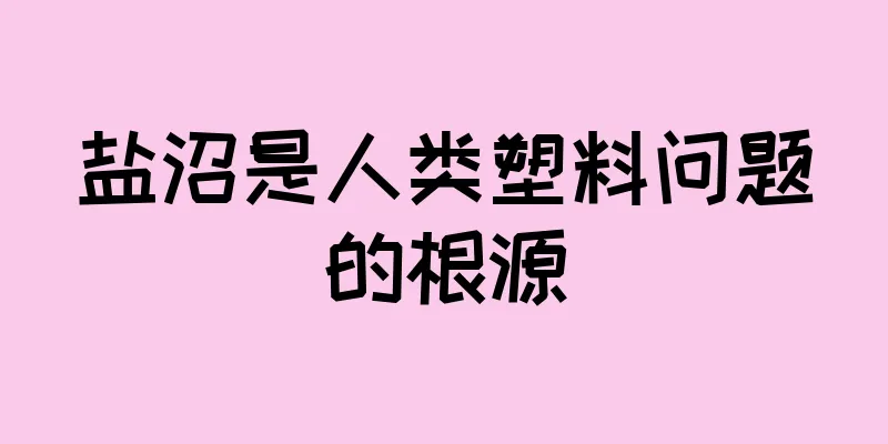 盐沼是人类塑料问题的根源