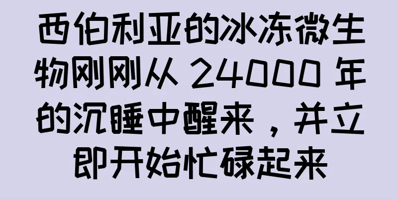 西伯利亚的冰冻微生物刚刚从 24000 年的沉睡中醒来，并立即开始忙碌起来