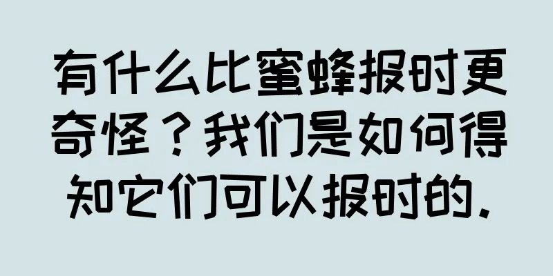有什么比蜜蜂报时更奇怪？我们是如何得知它们可以报时的。