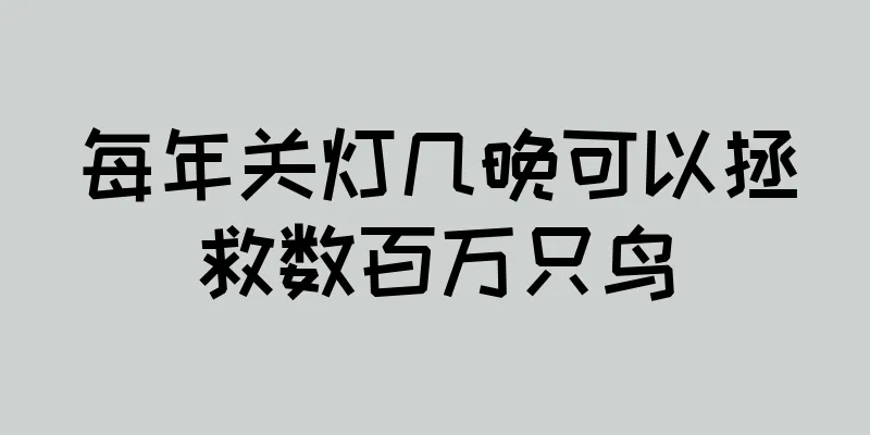 每年关灯几晚可以拯救数百万只鸟