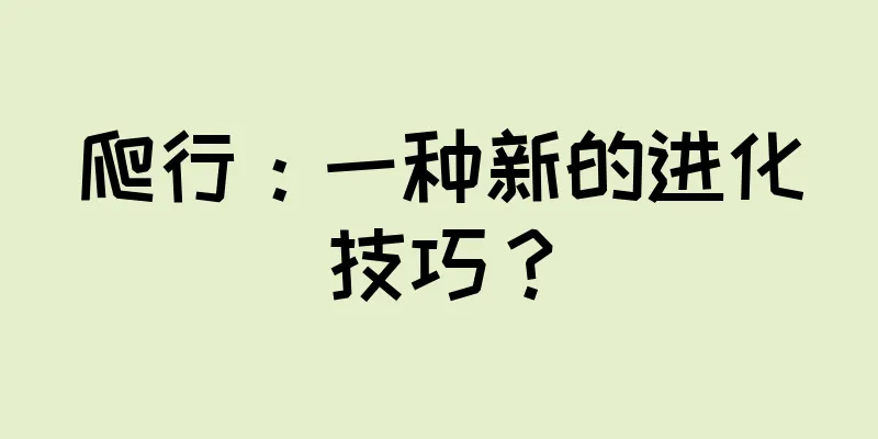 爬行：一种新的进化技巧？
