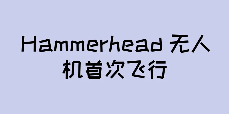 Hammerhead 无人机首次飞行