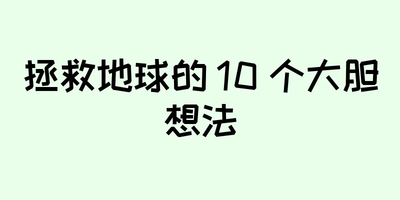 拯救地球的 10 个大胆想法