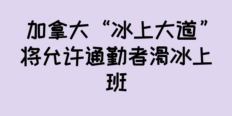 加拿大“冰上大道”将允许通勤者滑冰上班