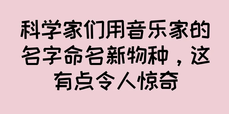 科学家们用音乐家的名字命名新物种，这有点令人惊奇