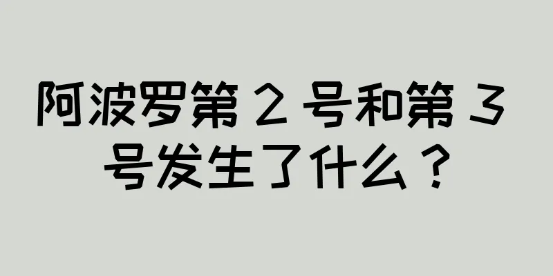 阿波罗第 2 号和第 3 号发生了什么？